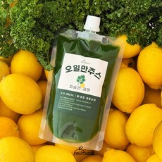 푸릇터블 직접 갈아 만든 오일만주스 555주스 파슬리레몬주스 클렌즈주스 5일분 액상 400ml, 5개