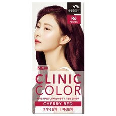 꽃을든남자 크리닉 새치 염색약, R6 체리레드, 1개