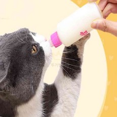 엠에스몰 애견 애묘 젖병 강아지초유, 150ml