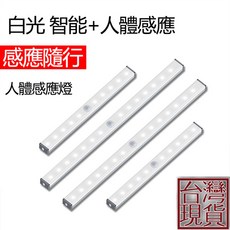 BO雜貨 白光人體LED感應衣櫃燈 可調光50cm 36珠 USB充電 小夜燈 走廊燈 櫥櫃燈 臥室床頭燈條, 1個, 白光20cm14珠