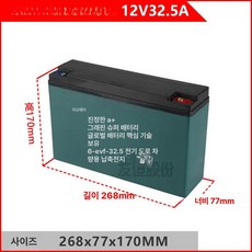 대용량 지게차배터리 교체 리프트 트럭 유압 상품 전원 충전기 스태커 보트용 놀리 축전지, 1개, 패턴 티안위 12V 32.5A