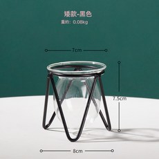 DIU 輕奢風綠蘿綠植水培花瓶鐵藝插花花器簡約創意客廳餐桌裝飾品擺件, 矮款-黑色