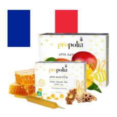 프랑스 프리미엄 프로폴리아 로얄젤리 프로폴리스 10ml x10앰플, 1개