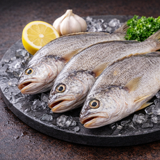 가성비 임연수 10미 1팩 (750g내외), 1개, 10미 750g내외