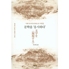 문학을 응시하다:아베 마사히코 비평집, 황금알, 아베마사히코
