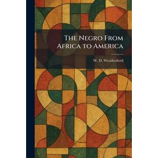 (영문도서)The Negro From Africa to America Paperback, Tradd Street Press, English, 9781025866055