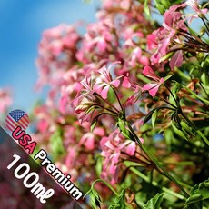 B042 제라늄버베나 100ml (Geranium & Verberna) 프래그런스오일 캔들 디퓨저 향수, 1개