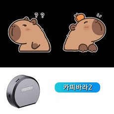On the table온더테이블 자전거 킥보드 캐릭터 LED 라이트, 1개, 카피바라2