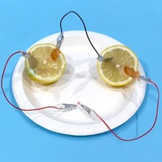 LED 과일전지 1인용 과학실험교구 과학놀이키트 실험키트 자연과학완구 과학교구 관찰, 1개