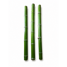 국산 생대나무 원목 인테리어 대나무 조경 카페 장식 울타리 DIY 50cm 100cm 150cm 180cm, 생대나무50cm(1개)