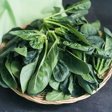 금메달농수산 남해 보물초 시금치, 1kg, 1개