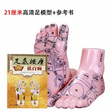 발 경혈 모형 교육 가정용 혈자리 한의원 마사지 모델, 1세트, 21CM 고화질 모델+참고서