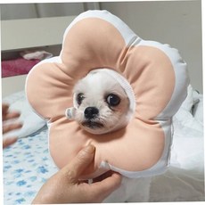 반려동물넥카라 꽃모양보호대 핑크 고양이넥칼라 고양이쿠션넥카라 79000EA 1EA, 본상품