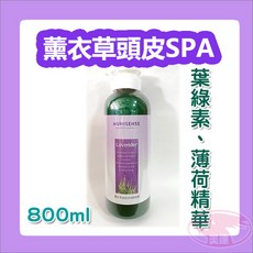 MUNISENSE 慕妮萱絲 薰衣草頭皮SPA調理霜 800ml, 詳見包裝, 詳見包裝, 薰衣草頭皮SPA調理霜【微涼】