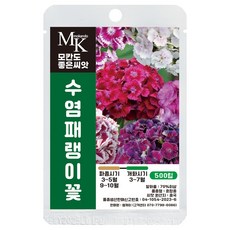 모칸도 좋은씨앗 수염패랭이꽃 씨앗 500립 혼합종 꽃씨 꽃씨앗, 1개