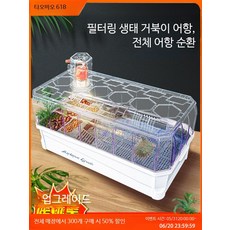 아크릴 거북이 사육장 반수생 쉼터 세트 육지거북이 하우스 이동식 수조, 중형 우아한 화이트 누드 항아리, 1개, 1L