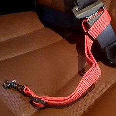 1X4개 애견목줄 애견 차량용 목줄 차량용애견목줄 애묘목줄 강아지목줄 z3038, 1