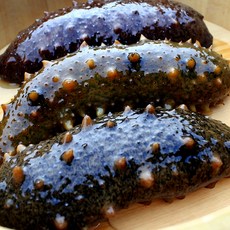 (단독특가) 노씨고집 프리미엄 국산 통영 해삼, 1개, 500g