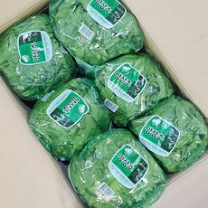 클릭마켓 국내산 포장 양상추 샐러드용, 6개, 350g