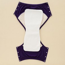 臺南出貨 可水洗成人尿不濕 老人專用 防漏隔尿褲 加大, 1個, 加厚吸水巾不是內褲 一條 ,XL碼 建議體重110-130斤