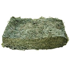 대용량 프리미엄 알팔파 건초, 1개, 18kg