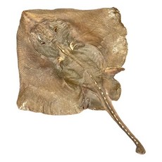 제수용 말린가오리 230g 제사용 마른 생선 건어물 차례 명절, 1개, 가오리 230g(40cm 내외)