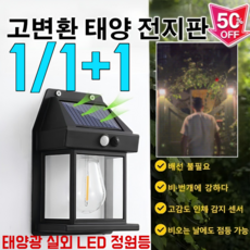 1/1+1태양광 실외 LED 정원등 센서등 led 야외 조명등 IP65 수준의 내우 내뢰 성능, (1개)블랙