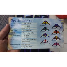 Alpha 阿法 217cm 碳纖維特技風箏 附風箏袋, 詳見包裝