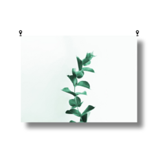 해룸 대형 패브릭 포스터 두꺼비집 가리개 페브릭 태피스트리 가림천 아트 행잉 초대형, 6.유칼립투스