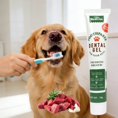 강아지 치석제거 치약 강아지치약 고양이 치약 구취제거 치약 치석제거 치약 애견 치약 강아지 치약 1위 덴탈케어치약 구취제거 덴탈케어치약 애견용품 소고기맛, 3개, 70g