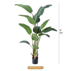 인조 바나나나무 조화 동남아 열대 인테리어 장식 나무, 2.2m