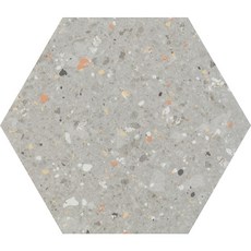 磁磚DG-珍珠港六角磚25.8X29, 1個, 灰