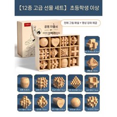 3d 입체퍼즐 자물쇠 두뇌훈련, 12개 고급(초등학생)