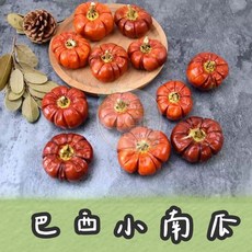 【璟采職人】巴西小南瓜 南瓜茄 非洲紅茄 迷你南瓜 觀賞茄 扁茄 金茄 車輪苦瓜 拍照道具 乾燥材料 聖誕花圈 萬聖節, 直徑3-5公分(顏色可能不一致請看款式圖,【單顆】（天然南瓜有些偏棗紅，有些偏橘紅