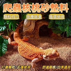 爬蟲核桃砂墊料 低壓除臭 循環使用, 1個, [懶人福音+免打理+一篩一倒10秒換砂],無塵核桃砂500G[添加生物酶]