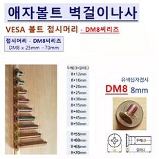 삼성 LG TCL 벽걸이TV 설치부품 삼성 LG 가이드스페이서 (7종)외 (옵션) 애자볼트나사 M6 M8 DM8 씨리즈 삼성 벽걸이어댑터 (5종) 칼블럭앙카등 벽걸이브라켓 설치부품, 1세트, 애자볼트 (접시머리) DM8 x 25mm=4ea