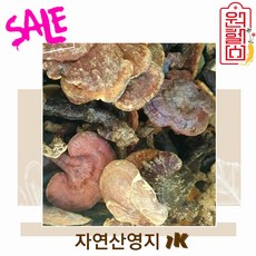 원헬스 자연산 영지버섯 1K 국내산 영지버섯 100% 국산영지버섯 정품진품 특산품 건조영지 original mountain 4시이전 결제시 당일발송, 1개