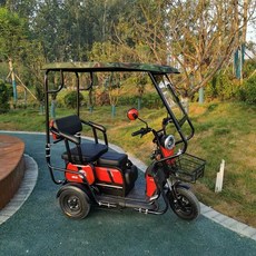 전동차 바람막이 방수 자전거 커튼 프레임 세발 가림막 캐노피, Y. 70130 위장 탑 레인커튼 없음