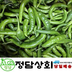 [ 정담상회 ] 국내산 오이고추 못난이고추 아삭이고추 오이맛고추 [상등급] 내외, 1박스, 1kg