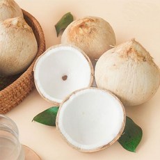 베트남 생 트룩 화이트 코코넛 Dua troc, 3개, 600g 내외