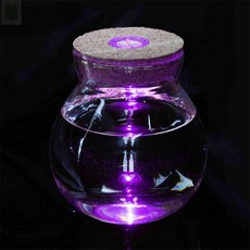 마리모도매 마리모키우기LED유리병