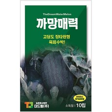 더드림 수박씨앗 까망매력 10립, 1개