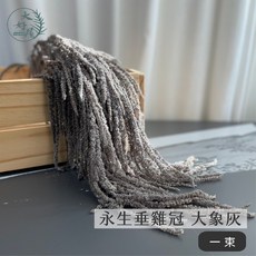 大好屋 永生垂雞冠 情人淚 柔麗絲 紅藜 吊米 乾燥花 一束裝, 永生垂雞冠【大象灰】一束裝