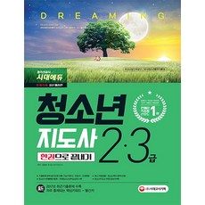 청소년지도사 2ㆍ3급 한권으로 끝내기(2018):기출문제 완벽분석으로 핵심이론 구성, 시대고시기획, 홍평표, 청소년지도연구소