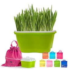 더조은키즈 새싹보리 재배기 키트(부직포 가방 증정) 씨앗 채소 키우기세트 식물 관찰학습 미니정원 화분만들기 테라리움키트 관찰일지 식목일 식목행사 유기농재배, 기본구성, 1개