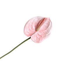 DODXIAOBEUL 3피스 68.6cm(27인치) 인공 안스리움 백합 꽃 홈 데코 부케 및 녹색 잎 및 신부 결혼식 축제 장식 작은 꽃 꽃꽂이 자외선 차단 변색 없음 (화이, 핑크