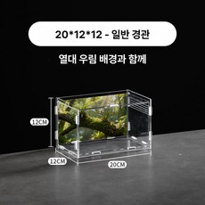 딱정 장수풍뎅이 사슴벌레사육장 키우기 투명 벌레 미니파충류블럭케이스 미니 아크릴 전갈, 1개, 20 12x12cm 표준 모델 우림배경패널포함