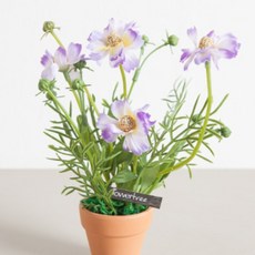 코스모스토분set 20cm 조화 인테리어, 연퍼플, 3개