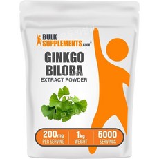 벌크서플라이먼트 징코빌로바 파우더 분말 은행잎추출물 1kg Ginkgo Biloba, 1개