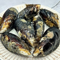 국내산 대왕 활 담치 홍합 섭 1kg